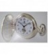 OLTEN BOLSILLO PLATA 1ª LEY TAPA Nº ROMA - 0920752